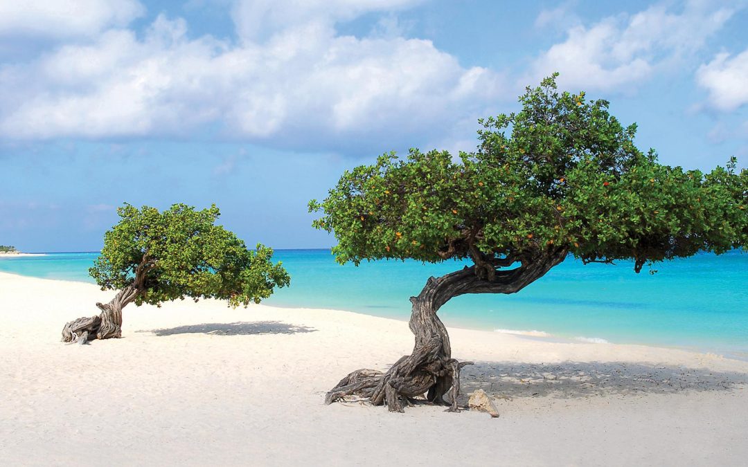 Oranjestad, Aruba