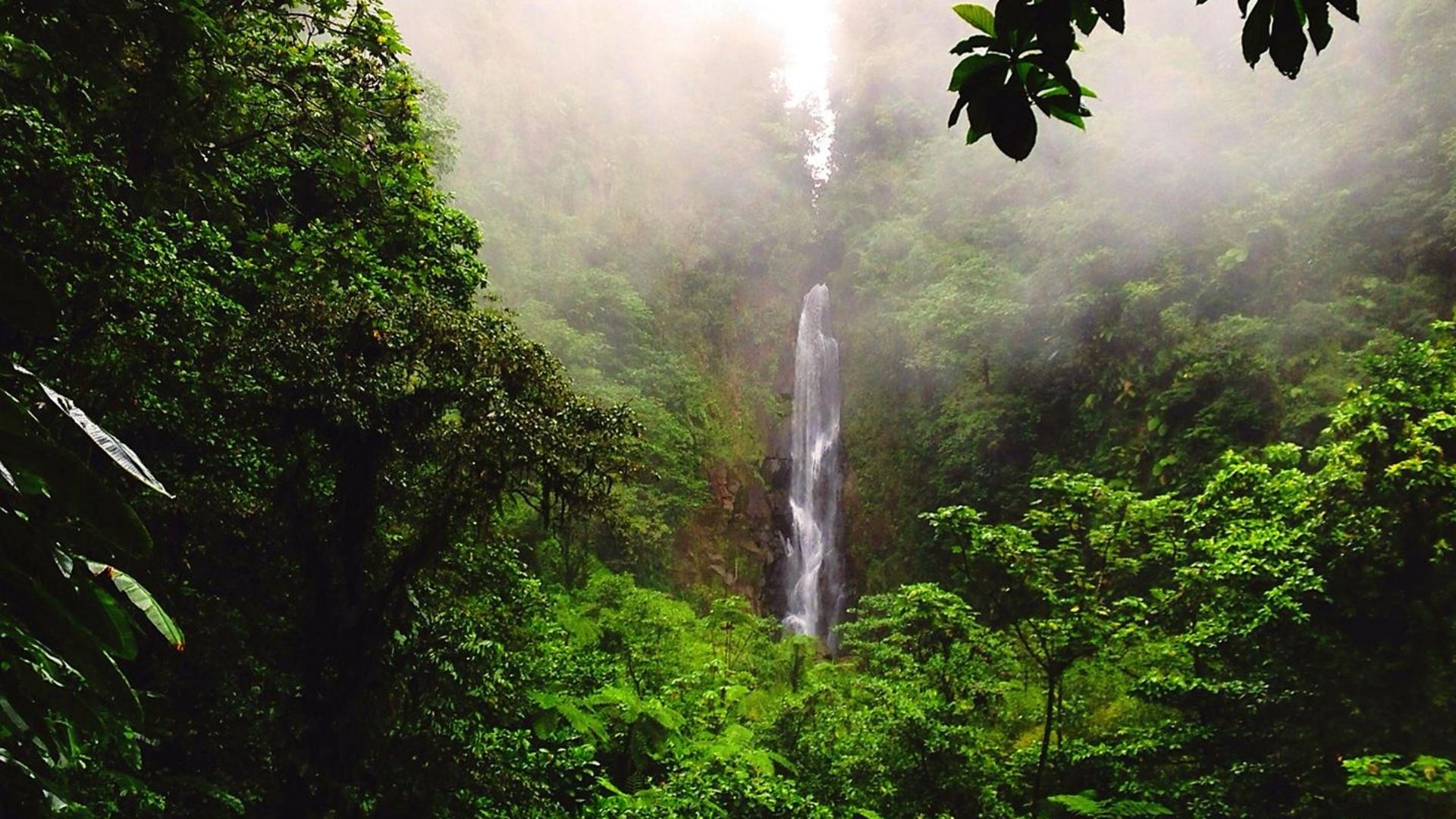 Roseau-Dominica-Falls