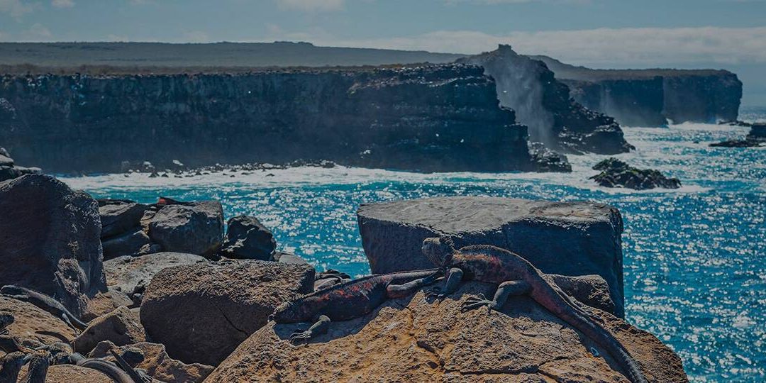 Isla Española, Galápagos