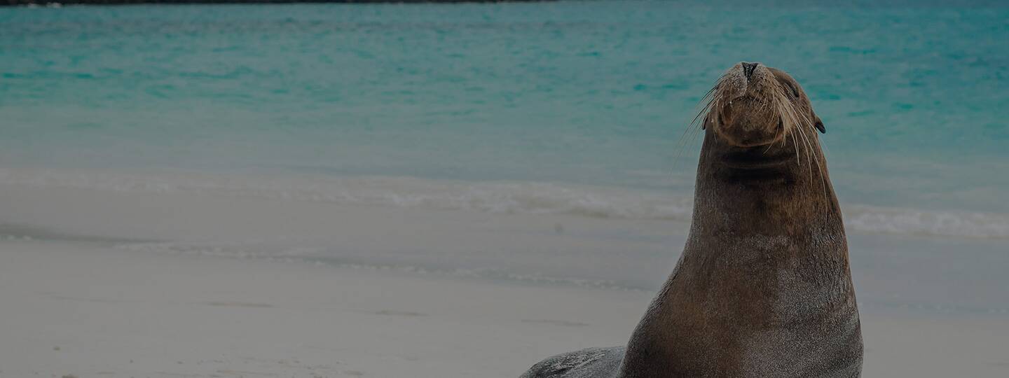 mosquera-islet-galapagos